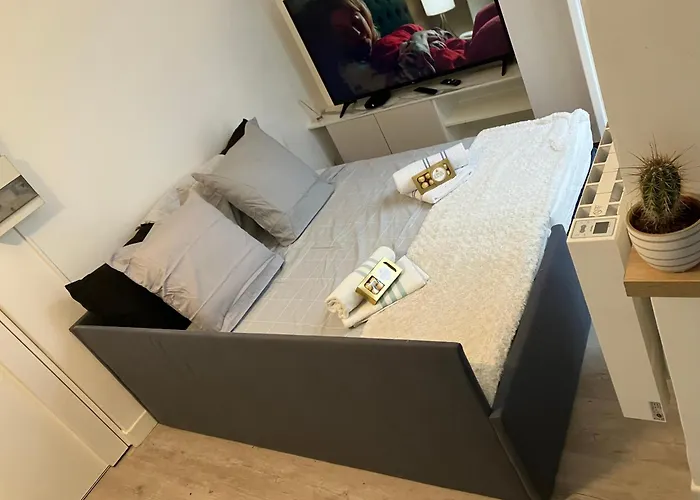 Le Cocon アパート *